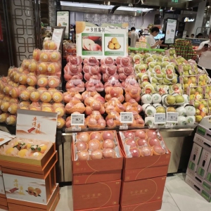 �A��(r��n)�f(w��n)����������ɽ�����υ^(q��)�l(f��)չ