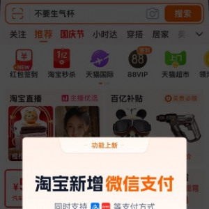 �����������Ԍ�������΢��֧����