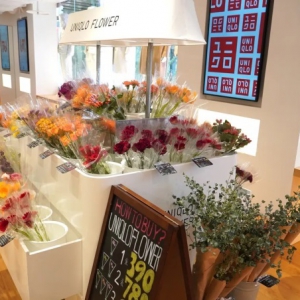 ��(y��u)�����_ȫ����Ş�����I�I(y��)��e�s3966.9ƽ����