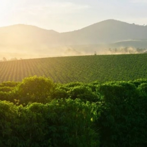 �cWBC�����܊Boram����,��Ҋ����Ϥ��İ���İ������ȡ�?