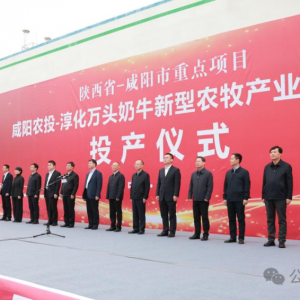 �����f(w��n)�^��ţ��(ch��ng)Ͷ�a(ch��n)����a(ch��n)�rţ��7�f(w��n)�����a(ch��n)ֵ��3�|Ԫ