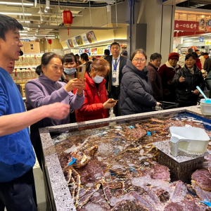 ���R�r���_�˃ɼҵ꣬�քe�ڳ���������