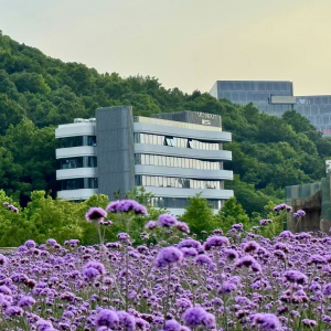 �羳����°�����|�ρ����f����S��