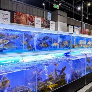 50���T(m��n)�꟨�����A��(r��n)�f(w��n)�ҡ��ƾ֡��ٳ��l(f��)