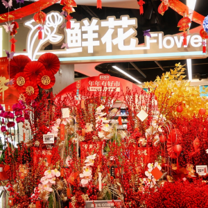 ��2025�Ѕ^(q��)������(ji��)���M(f��i)��(b��o)�桷�l(f��)�� ���p���I��؛׷����r(ji��)�ȡ�