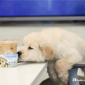 ����(ji��)������һ���������@5������