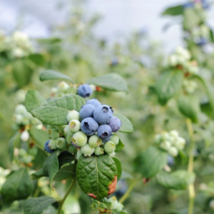 �A���f�ҟ��l(xi��ng)Ӌ��֮�ټһ��ؽ��O�ڶ�վ�������{ݮ�J�C������ʽ��Ļ