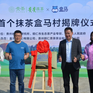 ȫ��(gu��)�ׂ�(g��)Ĩ����R�����F���~�ʽ��ڽ���