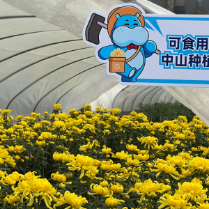 �ϼ�һ�챬�u3000�������R��δ��촺�������