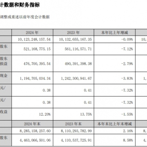 �t���B�i��2024��I��101.23�|Ԫ��������5.21�|Ԫ
