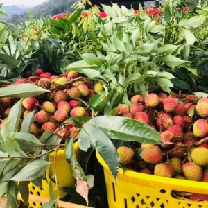 ��һ���ڼ��r���������������|���r����ӆ����ͬ�����L�ӽ�110%