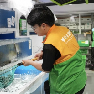 Ȫ�����ձ�1.6�f�������r��̺��R���u���{ʲô��