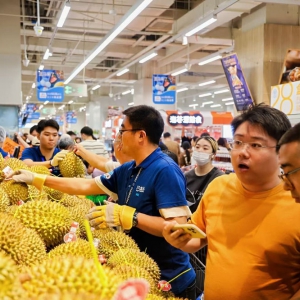 ���R�r���M(j��n)�v�����_�󐂳������_�I(y��)14���ԁ�(l��i)�Ŀ���ӛ�