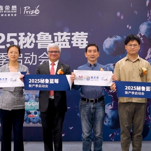 �󝙰l(f��)M���T�������{(l��n)ݮ�������������Ͼ��³���ʽ�w������N�۟ᳱ