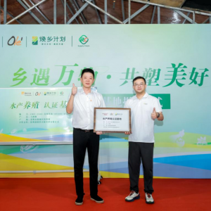 Ol���Ի��ؽ��O����������������°�����m(x��)�ص꾫�ʲ���