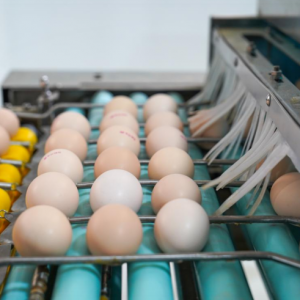 ����Ͼ��������r���������x�u��Ʒ��˜�