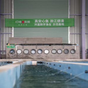 ���L��50%�������I�ˡ��氲���~���wϵ�ƾ����M��ˮ�a(ch��n)��ȫ���]