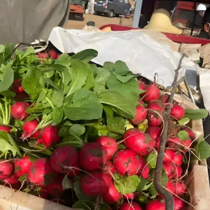 �������֣������¡��ߡ��ͣ���ɽ��48С�r(sh��)������ֱ�_(d��)���o(j��)(li��n)�A