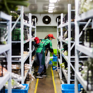 �����I�˽��K�}���_�}�����ٲ����³��Ј�