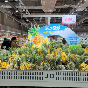 ʡ�X(qi��n)��ʡ�|(zh��)�����|�ۿ۳�����}(c��ng)��(ji��)ȫ��(gu��)��Ļ